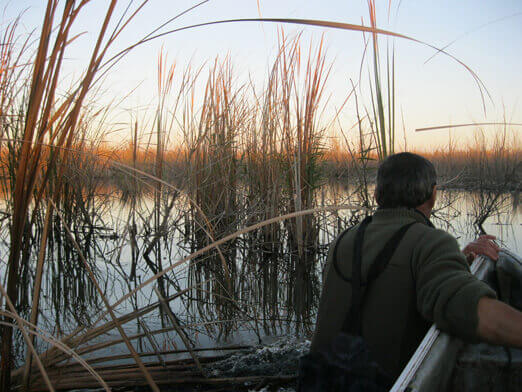 Rümänien Donaudelta Enten